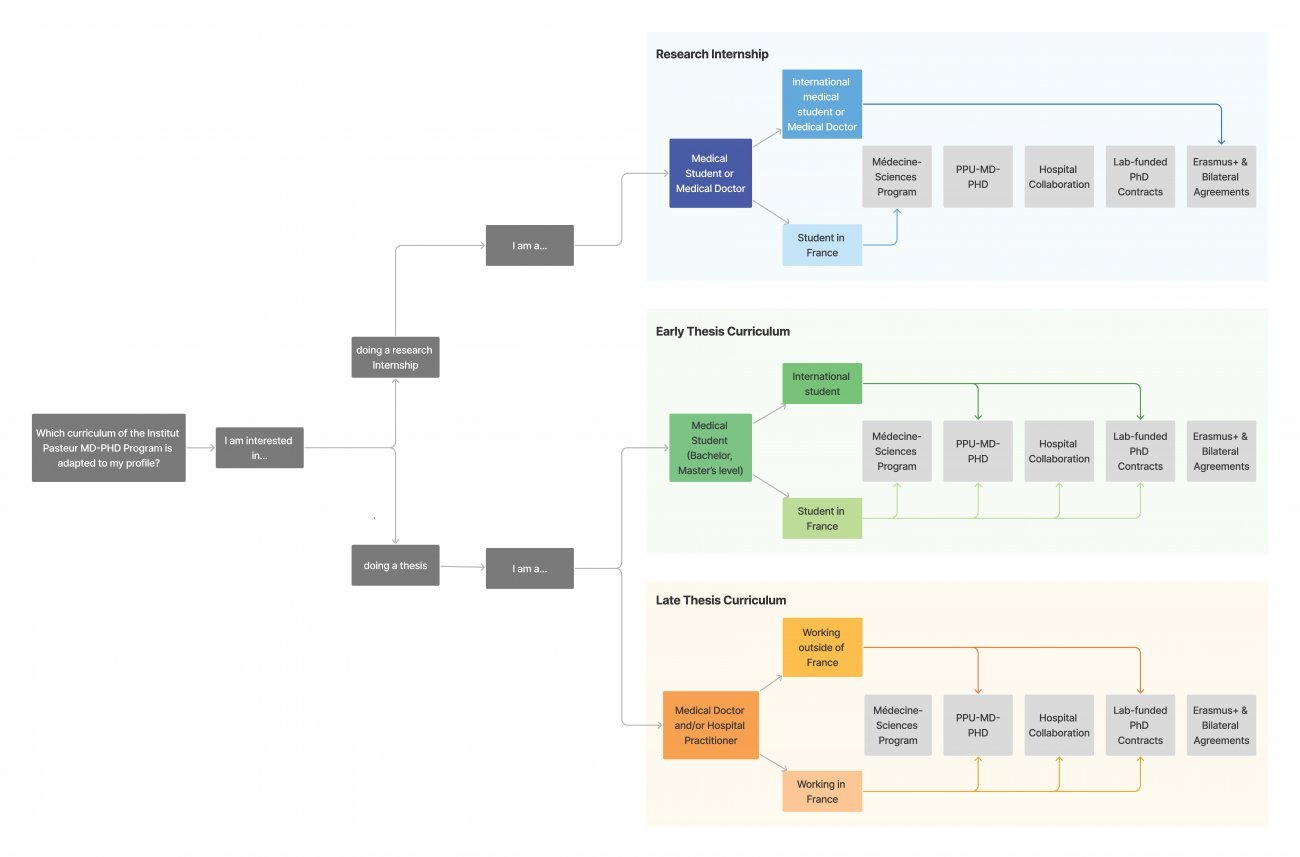 Layout MD-PHD-Program