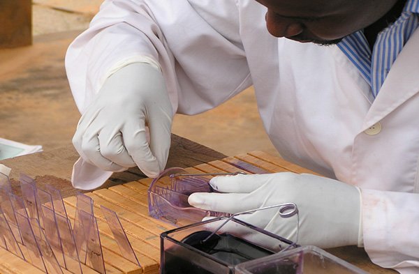 © Institut Pasteur Bourses et aides à la mobilité, photo de laboratoire - Bourses Calmette & Yersin - Institut Pasteur