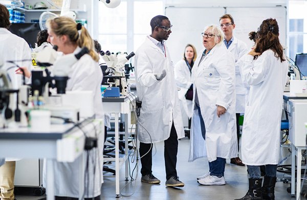 Bourses et aides à la mobilité, photo de laboratoire - Bourses Calmette & Yersin - Institut Pasteur