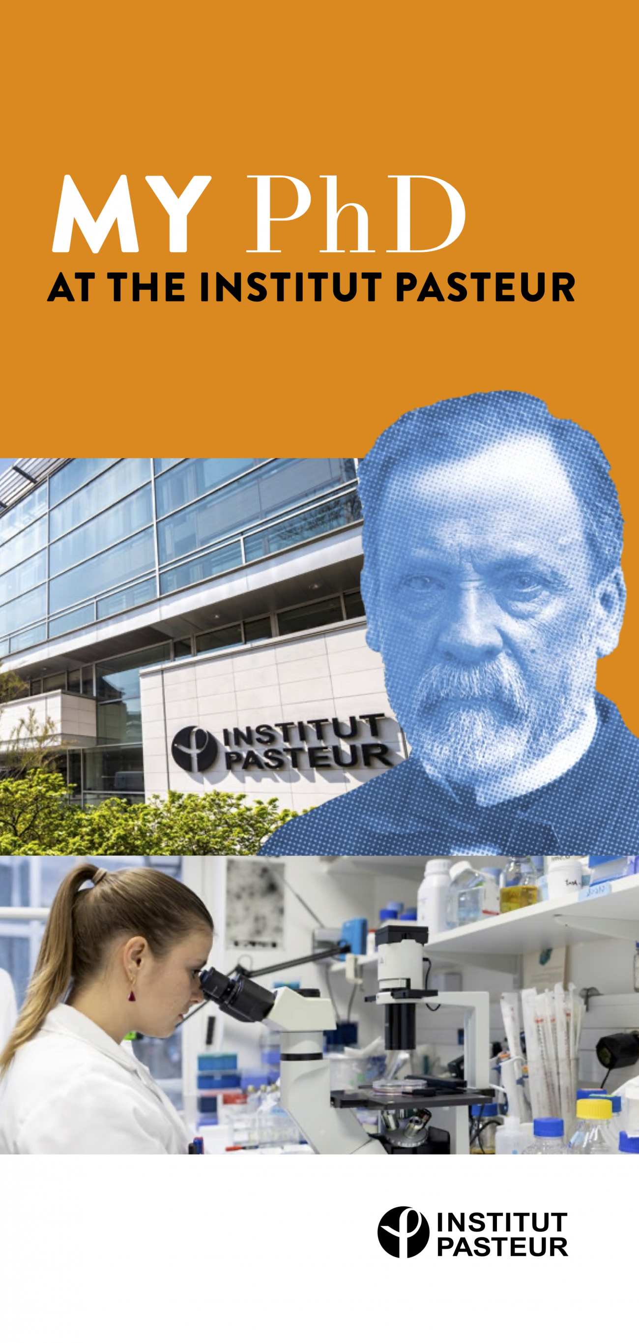 flyer phd institut pasteur flyer phd institut pasteur