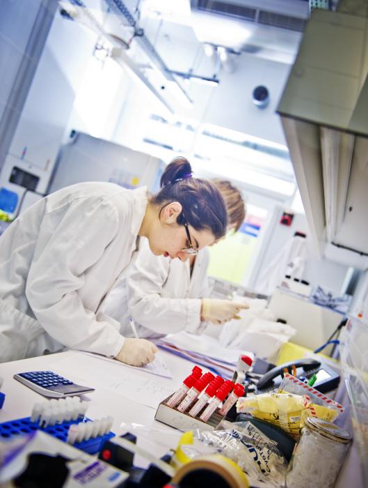 Unité de Génétique Moléculaire des Virus ARN et Centre National de Référence des virus influenzae (Grippe) Unité de Génétique Moléculaire des Virus ARN et Centre National de Référence des virus influenzae (Grippe)