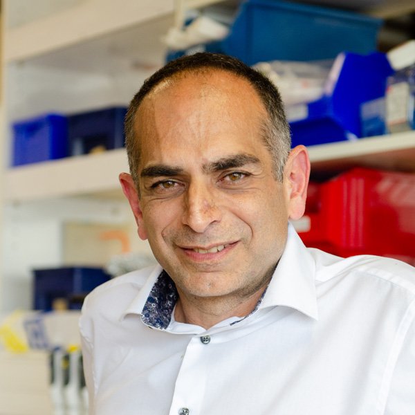 © Institut Pasteur, Valérie ZEITOUN Philippe Bousso 2024 Portrait