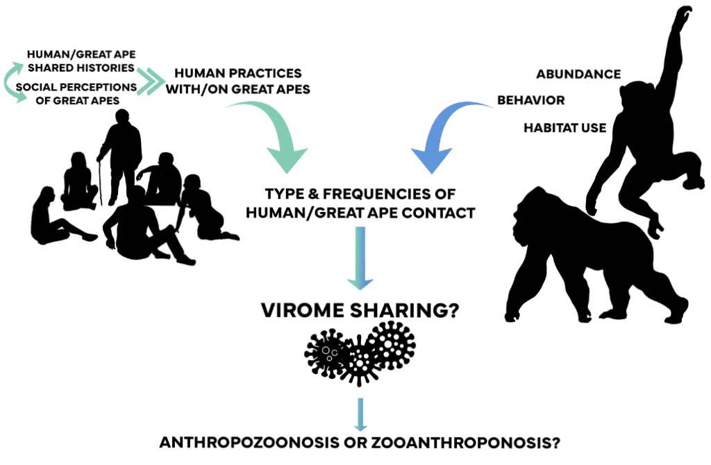 Figure partage viral © M.Vernick / AdobeStock Figure partage viral © M.Vernick / AdobeStock