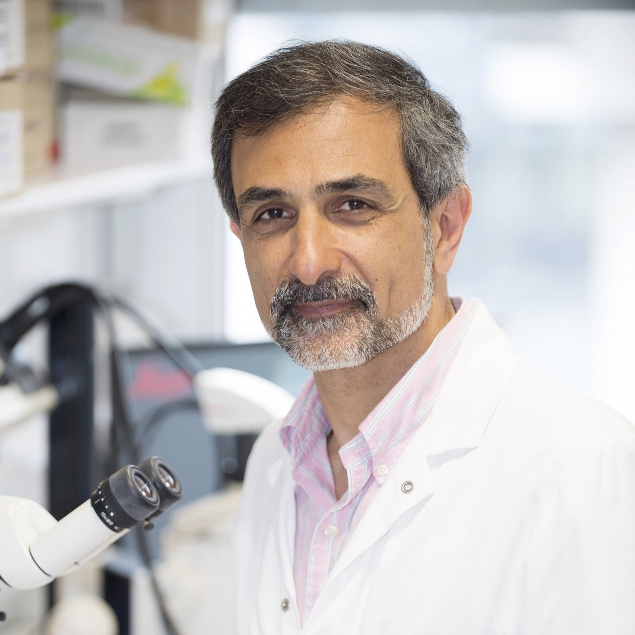 Shahragim Tajbakhsh - Institut Pasteur Shahragim Tajbakhsh - Institut Pasteur