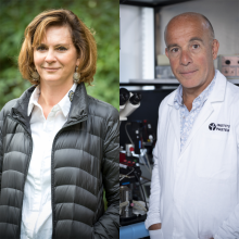 Pierre-Marie Lledo & Chantal Henry Pierre-Marie Lledo & Chantal Henry