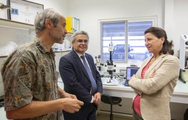 Visite de Agnès Buzyn au vectopole de l'Institut Pasteur de la Guyane