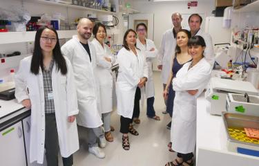 Plateforme de Bioimagerie Photonique - Institut Pasteur