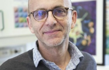 Tête à tête avec Olivier Schwartz : la formation du placenta - Institut Pasteur