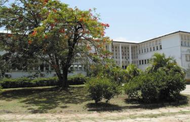 Guyane - Institut Pasteur