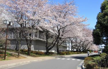 RIKEN Wako - Japon - Institut Pasteur 