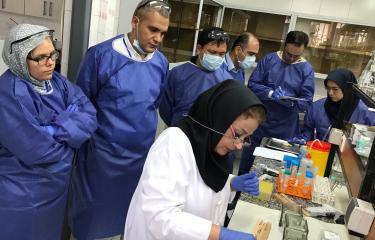 Institut Pasteur Iran - cours Rage 2017 crédit Hervé Bourhy