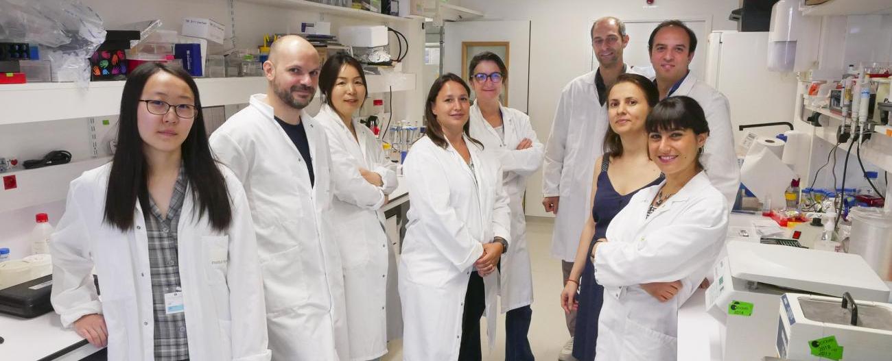 Plateforme de Bioimagerie Photonique - Institut Pasteur Plateforme de Bioimagerie Photonique - Institut Pasteur
